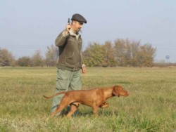 Oktober 2011 Field Trial in Cegléd